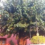 Al Casale Codroipo