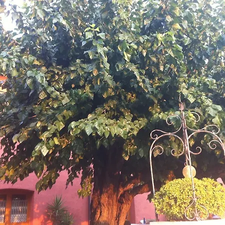 Al Casale Codroipo