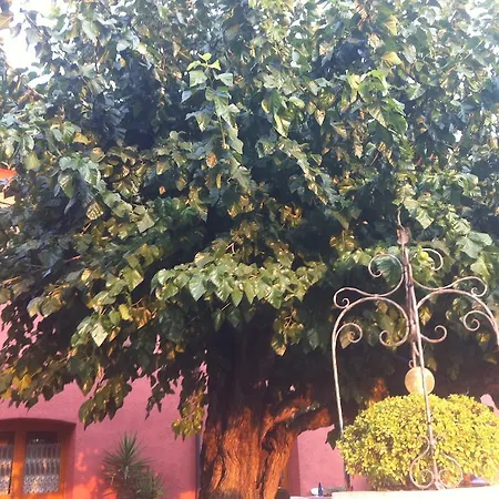Al Casale Codroipo