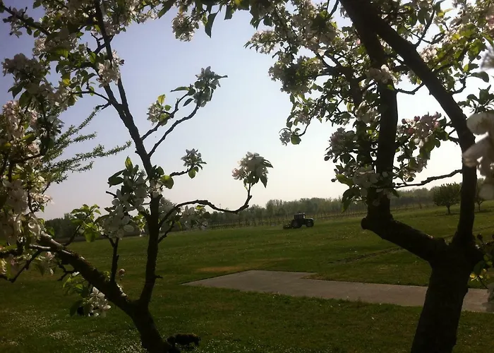 Al Casale * Codroipo