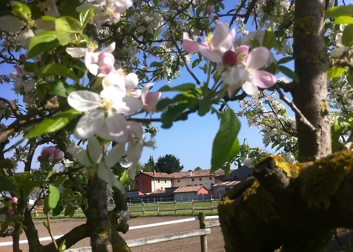 Εξοχικό σπίτι Al Casale Codroipo